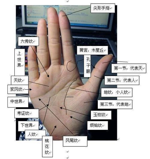 爱情线分叉会离婚吗_分叉的感情线_感情线分叉